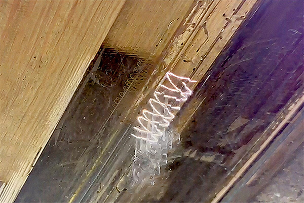 PULSAR-Lasertechnik beim Abtrag von Farbschichten auf Holz – mobiler Einsatz ohne Abbau des Objekts